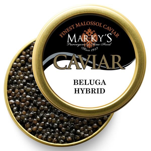 Beluga Caviar Hybrid